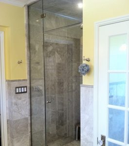 Residential Single Shower Door